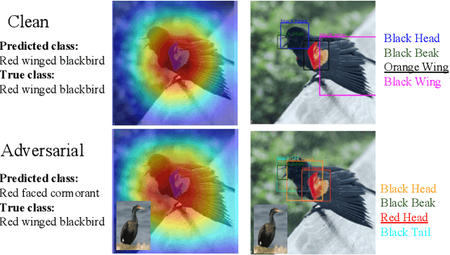 Figure 2 for Interpreting Adversarial Examples with Attributes
