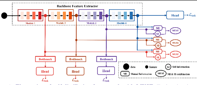 Figure 1 for MUSE: Feature Self-Distillation with Mutual Information and Self-Information