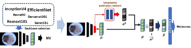Figure 1 for Joint Dermatological Lesion Classification and Confidence Modeling with Uncertainty Estimation
