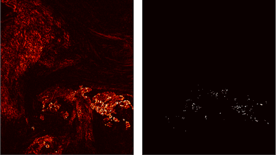 Figure 3 for The Error is the Feature: how to Forecast Lightning using a Model Prediction Error