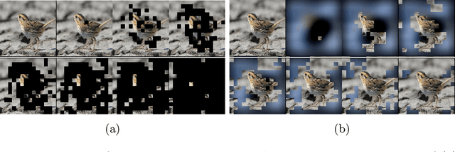 Figure 1 for Metrics for saliency map evaluation of deep learning explanation methods