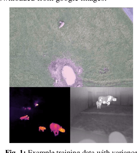 Figure 1 for Conservation AI: Live Stream Analysis for the Detection of Endangered Species Using Convolutional Neural Networks and Drone Technology