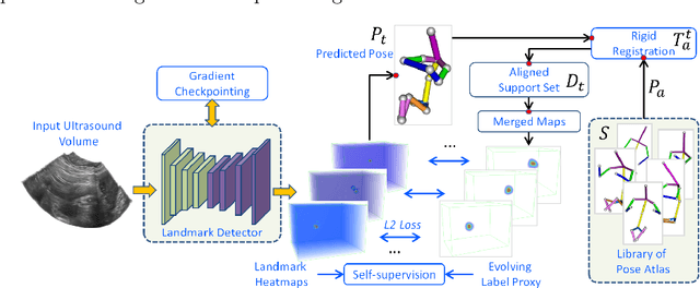 Figure 2 for FetusMap: Fetal Pose Estimation in 3D Ultrasound