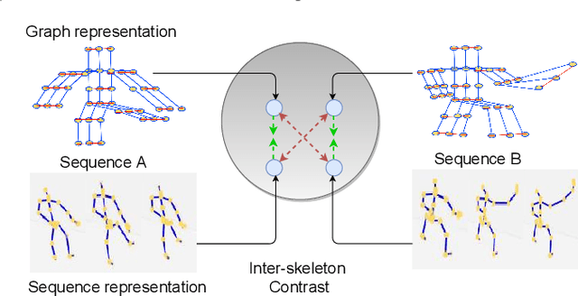 Figure 1 for Skeleton-Contrastive 3D Action Representation Learning