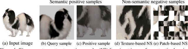 Figure 1 for Robust Contrastive Learning Using Negative Samples with Diminished Semantics