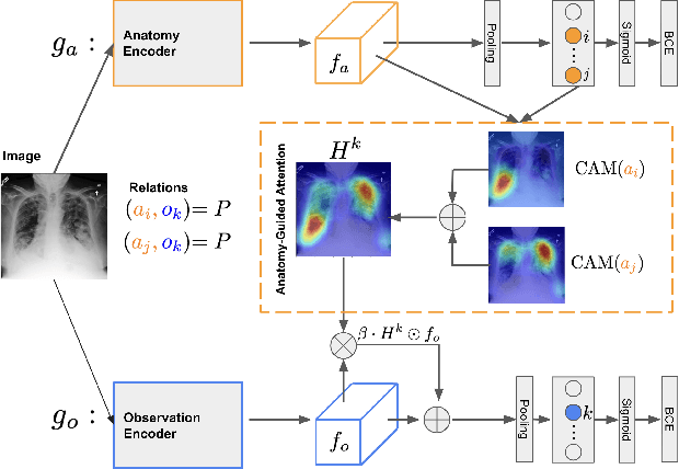 Figure 1 for Anatomy-Guided Weakly-Supervised Abnormality Localization in Chest X-rays
