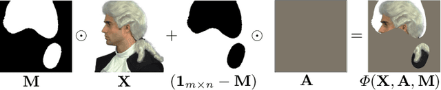 Figure 1 for Evaluating Input Perturbation Methods for Interpreting CNNs and Saliency Map Comparison