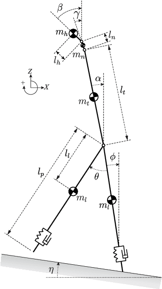 Figure 2 for On the mechanical contribution of head stabilization to passive dynamics of anthropometric walkers