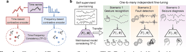 Figure 1 for Self-Supervised Contrastive Pre-Training For Time Series via Time-Frequency Consistency