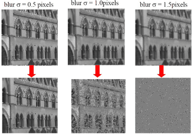 Figure 1 for Blind Image Deblurring: a Review