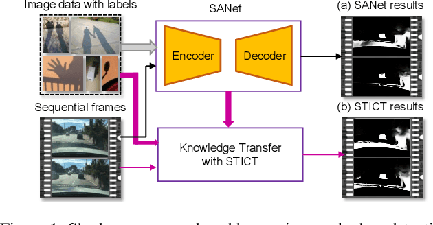 Figure 1 for Video Shadow Detection via Spatio-Temporal Interpolation Consistency Training