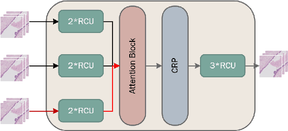 Figure 3 for DA-RefineNet:A Dual Input Whole Slide Image Segmentation Algorithm Based on Attention