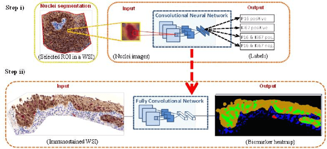 Figure 1 for Automatic labeling of molecular biomarkers of whole slide immunohistochemistry images using fully convolutional networks