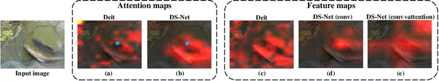 Figure 1 for Dual-stream Network for Visual Recognition