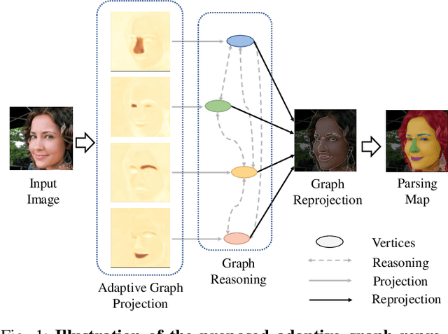 Figure 1 for Adaptive Graph Representation Learning and Reasoning for Face Parsing