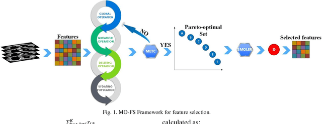 Figure 1 for Automatic multi-objective based feature selection for classification