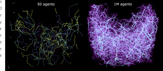 Figure 4 for Monte Carlo Physarum Machine: Characteristics of Pattern Formation in Continuous Stochastic Transport Networks