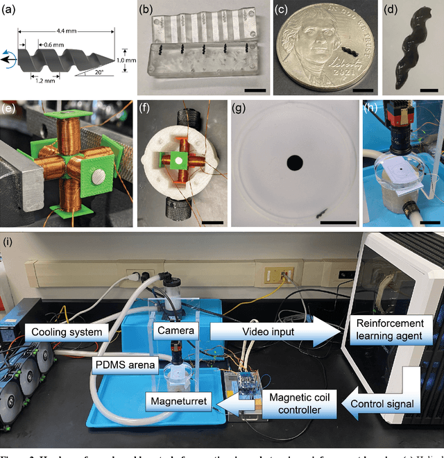 Figure 3 for Smart Magnetic Microrobots Learn to Swim with Deep Reinforcement Learning