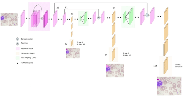 Figure 3 for White blood cell subtype detection and classification
