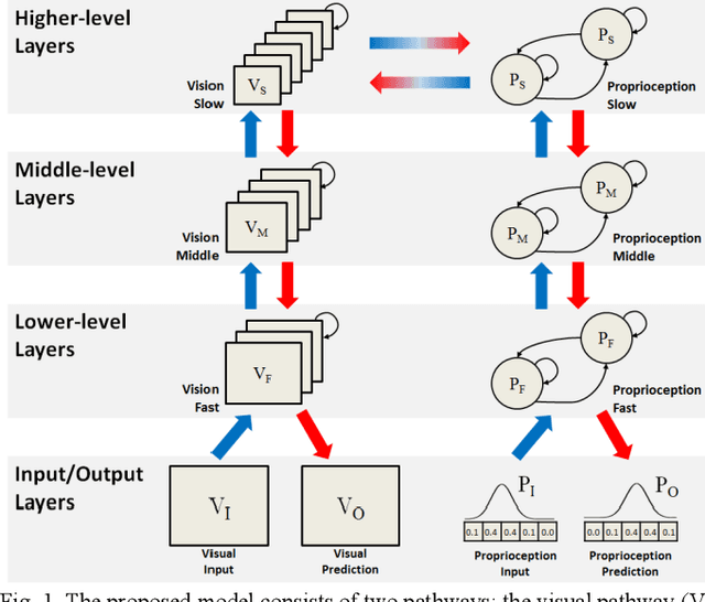 Figure 1 for Predictive Coding-based Deep Dynamic Neural Network for Visuomotor Learning