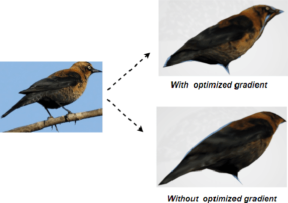 Figure 1 for Using Adaptive Gradient for Texture Learning in Single-View 3D Reconstruction