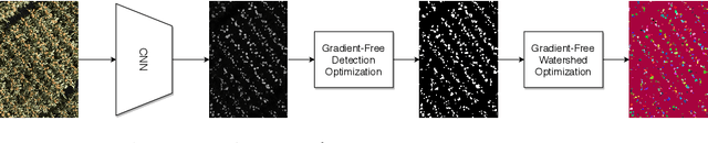 Figure 1 for AutoCount: Unsupervised Segmentation and Counting of Organs in Field Images