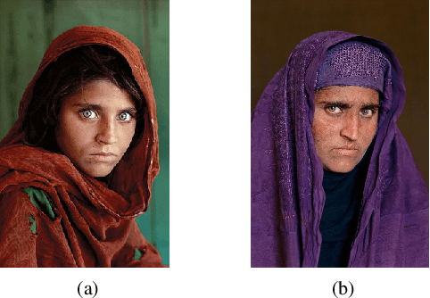 Figure 1 for Longitudinal Study of Child Face Recognition