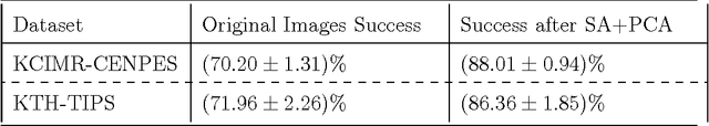 Figure 4 for On a method for Rock Classification using Textural Features and Genetic Optimization