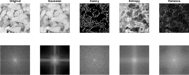 Figure 1 for On a method for Rock Classification using Textural Features and Genetic Optimization