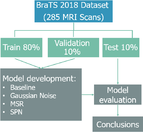 Figure 3 for Non Parametric Data Augmentations Improve Deep-Learning based Brain Tumor Segmentation
