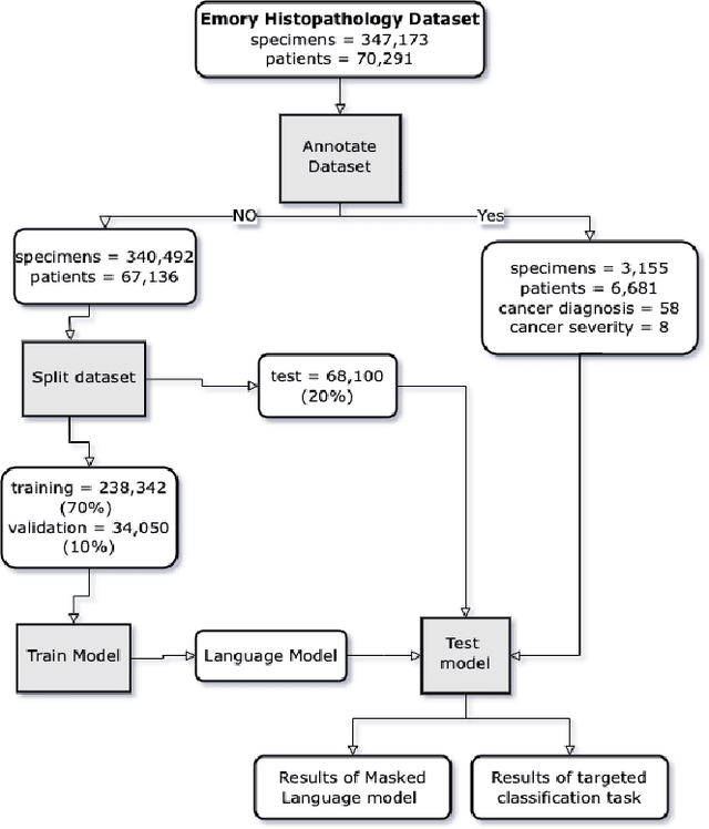 Figure 1 for PathologyBERT -- Pre-trained Vs. A New Transformer Language Model for Pathology Domain