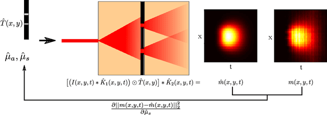Figure 3 for Automatic Differentiation for All Photons Imaging to See Inside Volumetric Scattering Media