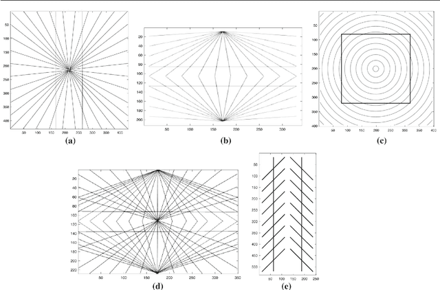 Figure 1 for A neuro-mathematical model for geometrical optical illusions