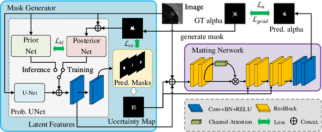 Figure 4 for Medical Matting: A New Perspective on Medical Segmentation with Uncertainty