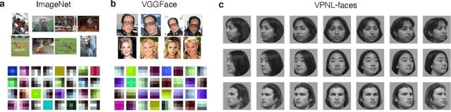 Figure 1 for Validation and generalization of pixel-wise relevance in convolutional neural networks trained for face classification