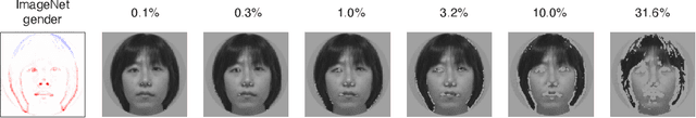 Figure 2 for Validation and generalization of pixel-wise relevance in convolutional neural networks trained for face classification