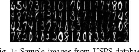 Figure 1 for Local Shrunk Discriminant Analysis (LSDA)