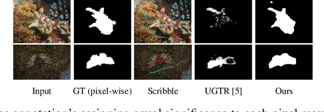 Figure 1 for Weakly-Supervised Camouflaged Object Detection with Scribble Annotations