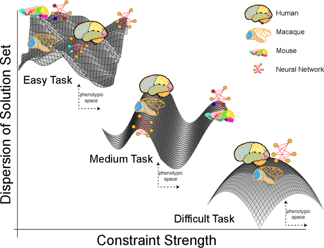 Figure 3 for Explanatory models in neuroscience: Part 2 -- constraint-based intelligibility