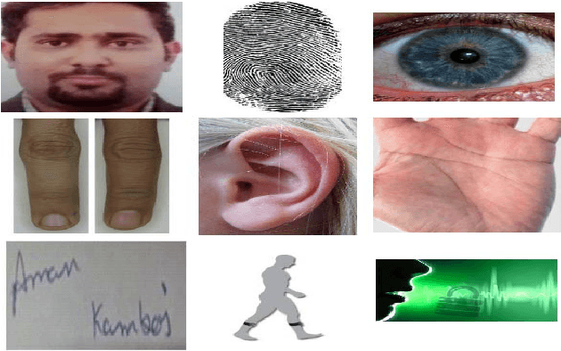 Figure 1 for UESegNet: Context Aware Unconstrained ROI Segmentation Networks for Ear Biometric