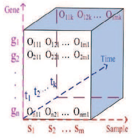 Figure 1 for Triclustering of Gene Expression Microarray Data Using Coarse-Grained Parallel Genetic Algorithm