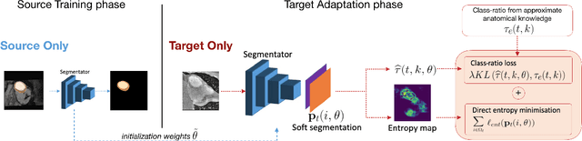 Figure 3 for Source-Free Domain Adaptation for Image Segmentation