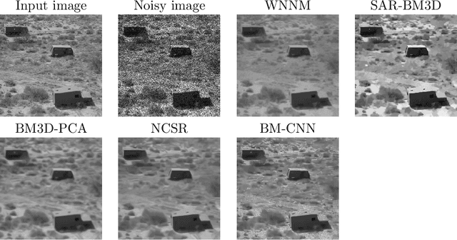 Figure 1 for A Universal Deep Learning Framework for Real-Time Denoising of Ultrasound Images