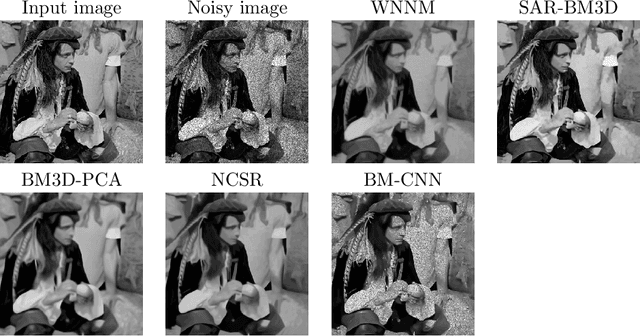 Figure 2 for A Universal Deep Learning Framework for Real-Time Denoising of Ultrasound Images