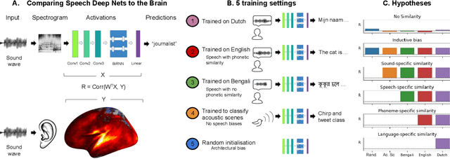 Figure 1 for Inductive biases, pretraining and fine-tuning jointly account for brain responses to speech