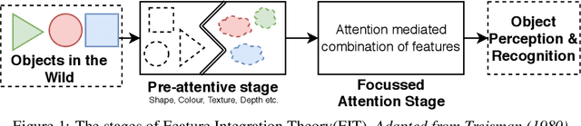 Figure 1 for CognitiveCNN: Mimicking Human Cognitive Models to resolve Texture-Shape Bias