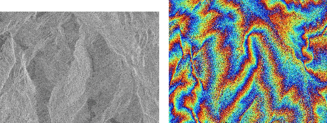 Figure 3 for Learning Convolutional Sparse Coding on Complex Domain for Interferometric Phase Restoration