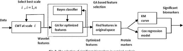 Figure 2 for Wavelet feature extraction and genetic algorithm for biomarker detection in colorectal cancer data