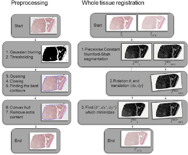 Figure 3 for Regional Registration of Whole Slide Image Stacks Containing Highly Deformed Artefacts