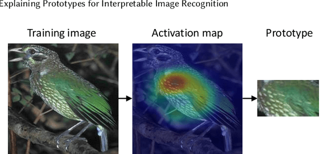 Figure 2 for This Looks Like That, Because ... Explaining Prototypes for Interpretable Image Recognition